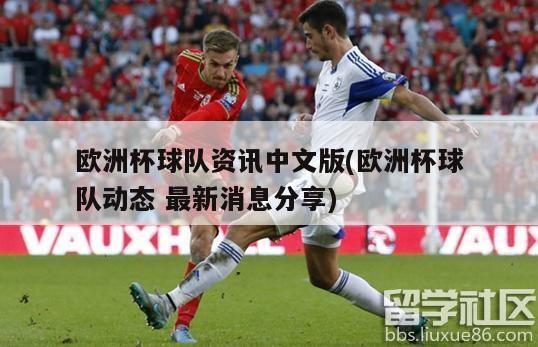 欧洲杯球队资讯中文版(欧洲杯球队动态 最新消息分享)